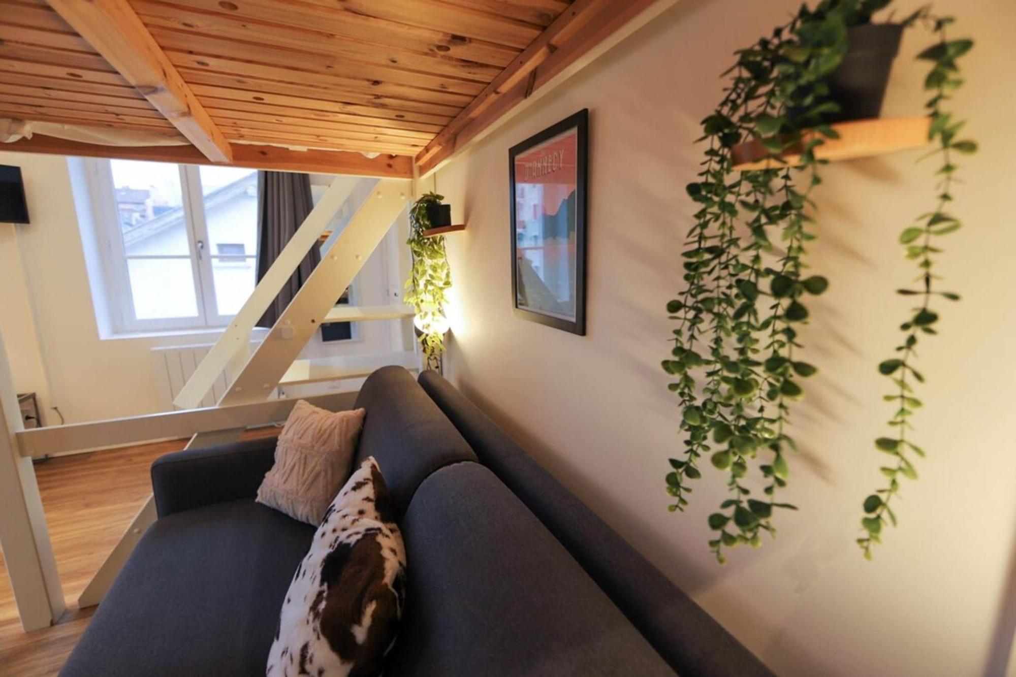 Le Petit Plus - Studio Confortable Avec Parking Apartment อานซี ภายนอก รูปภาพ